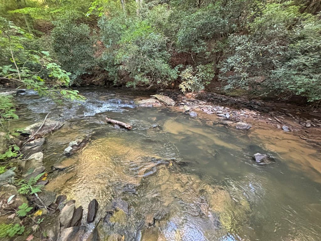1720 Mt. Springer Road, Ellijay GA 30540 - Photo
