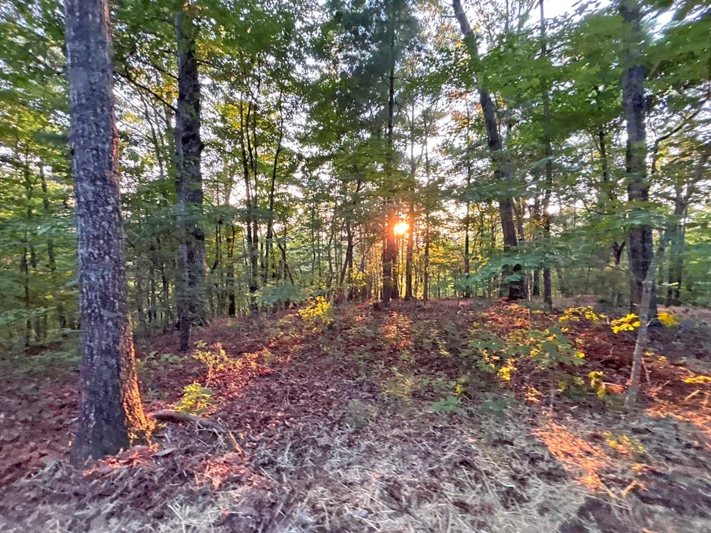 1720 Mt. Springer Road, Ellijay GA 30540 - Photo