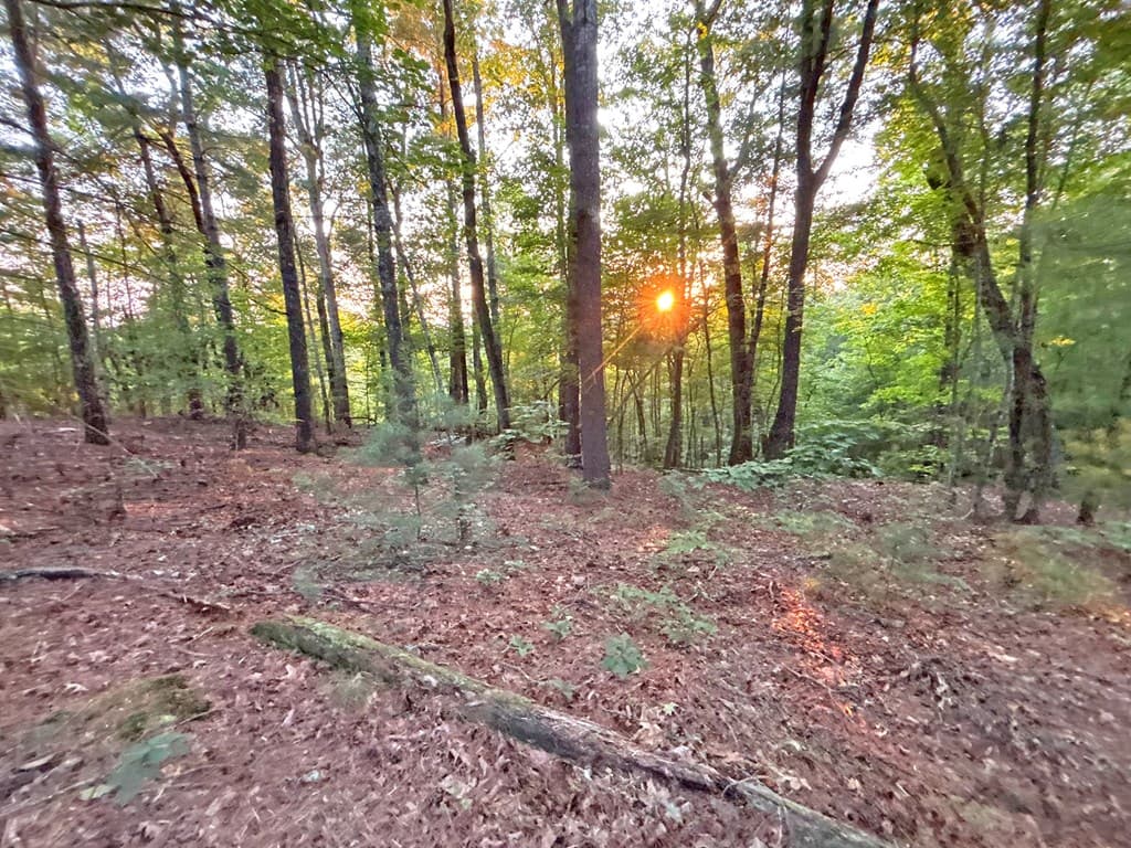 1720 Mt. Springer Road, Ellijay GA 30540 - Photo
