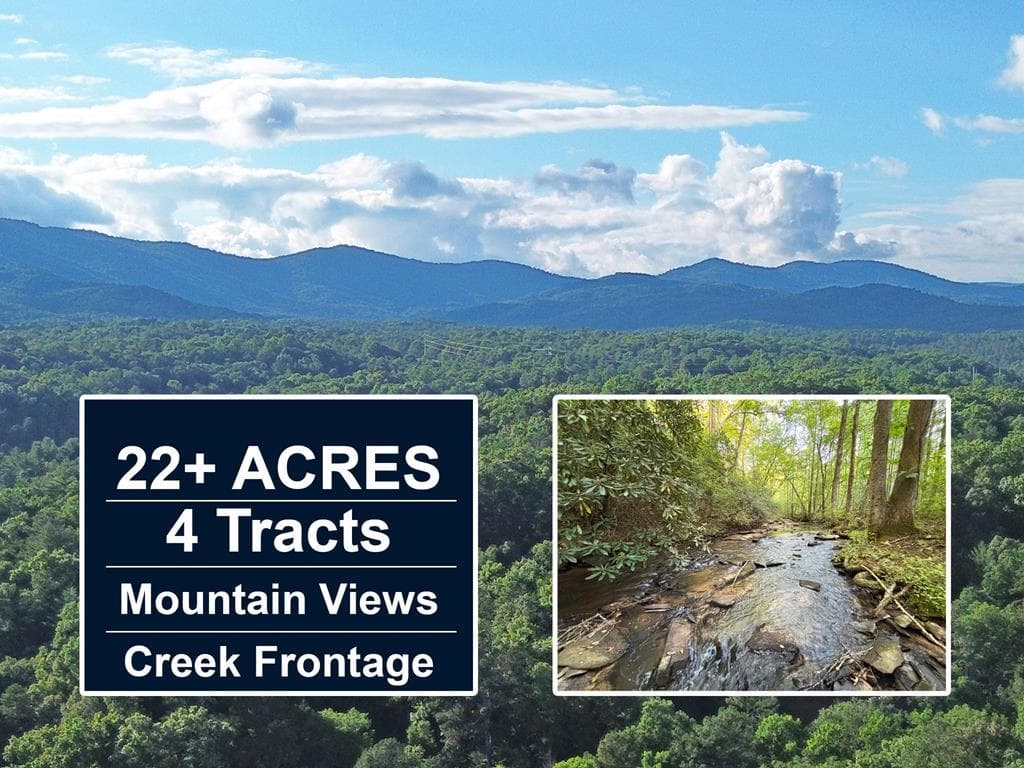1720 Mt. Springer Road, Ellijay GA 30540 - Primary photo