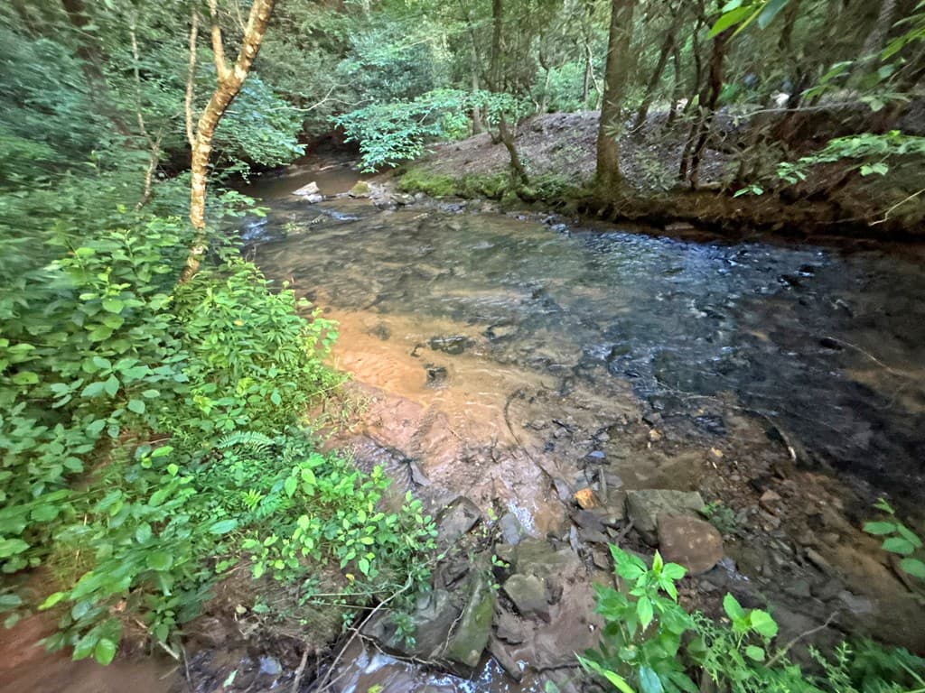 1720 Mt. Springer Road, Ellijay GA 30540 - Photo