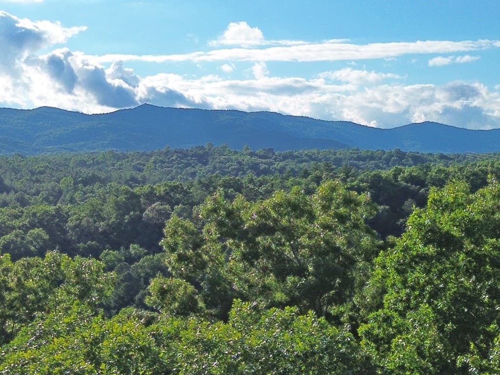 1720 Mt. Springer Road, Ellijay GA 30540 - Photo