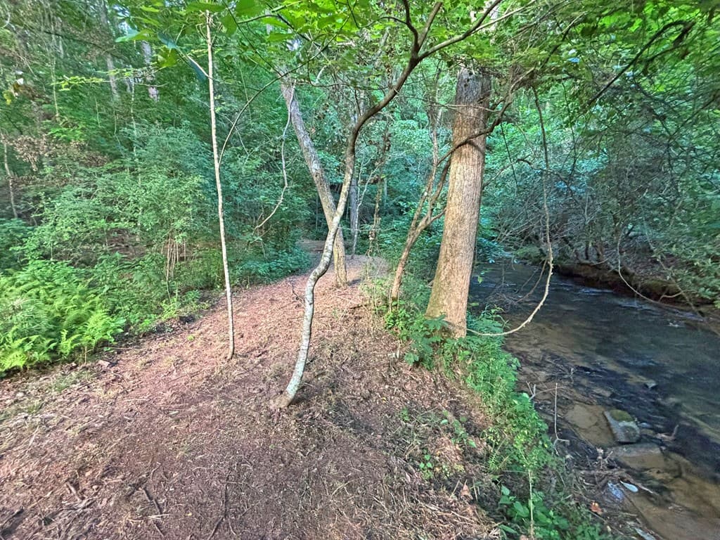 1720 Mt. Springer Road, Ellijay GA 30540 - Photo
