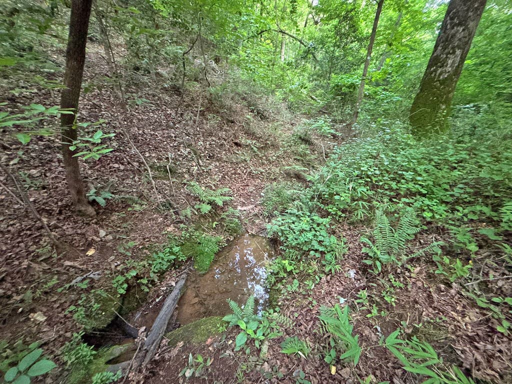 1720 Mt. Springer Road, Ellijay GA 30540 - Photo
