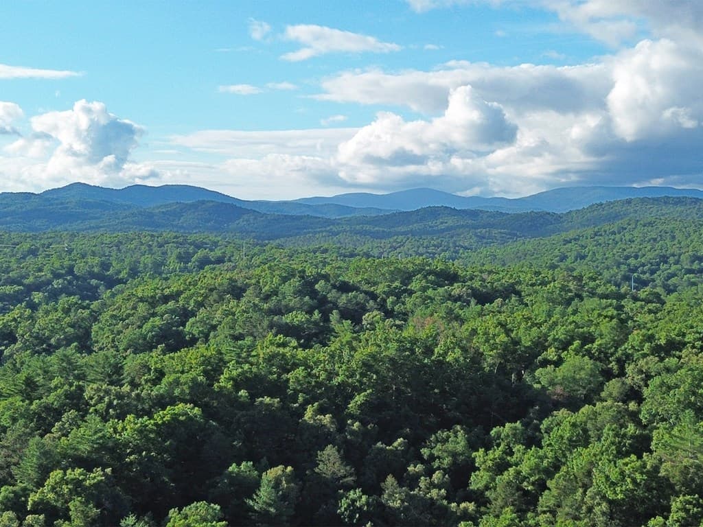 1720 Mt. Springer Road, Ellijay GA 30540 - Photo