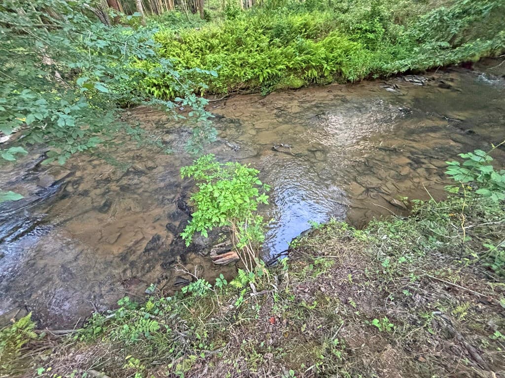 1720 Mt. Springer Road, Ellijay GA 30540 - Photo