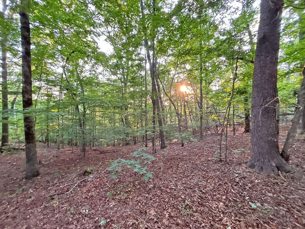 1720 Mt. Springer Road, Ellijay GA 30540 - Photo