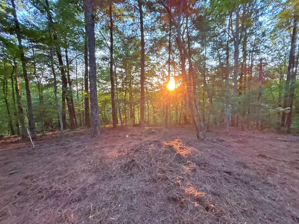1720 Mt. Springer Road, Ellijay GA 30540 - Photo