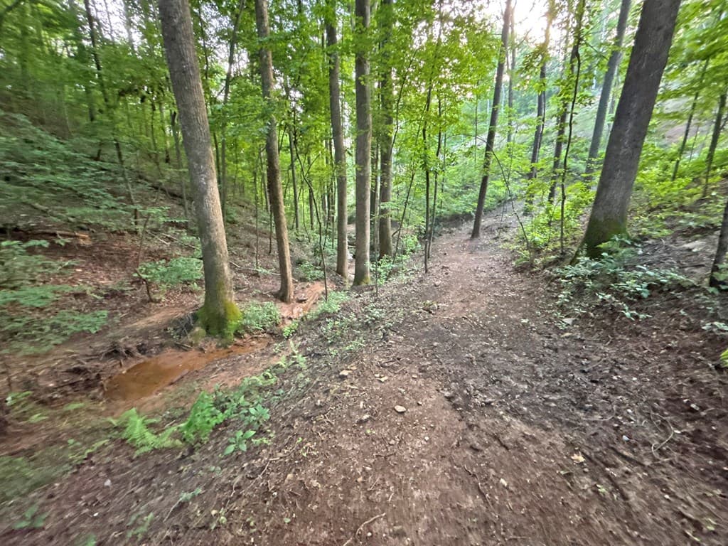 1720 Mt. Springer Road, Ellijay GA 30540 - Photo