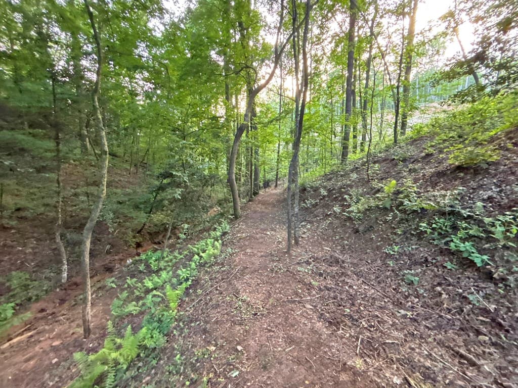1720 Mt. Springer Road, Ellijay GA 30540 - Photo