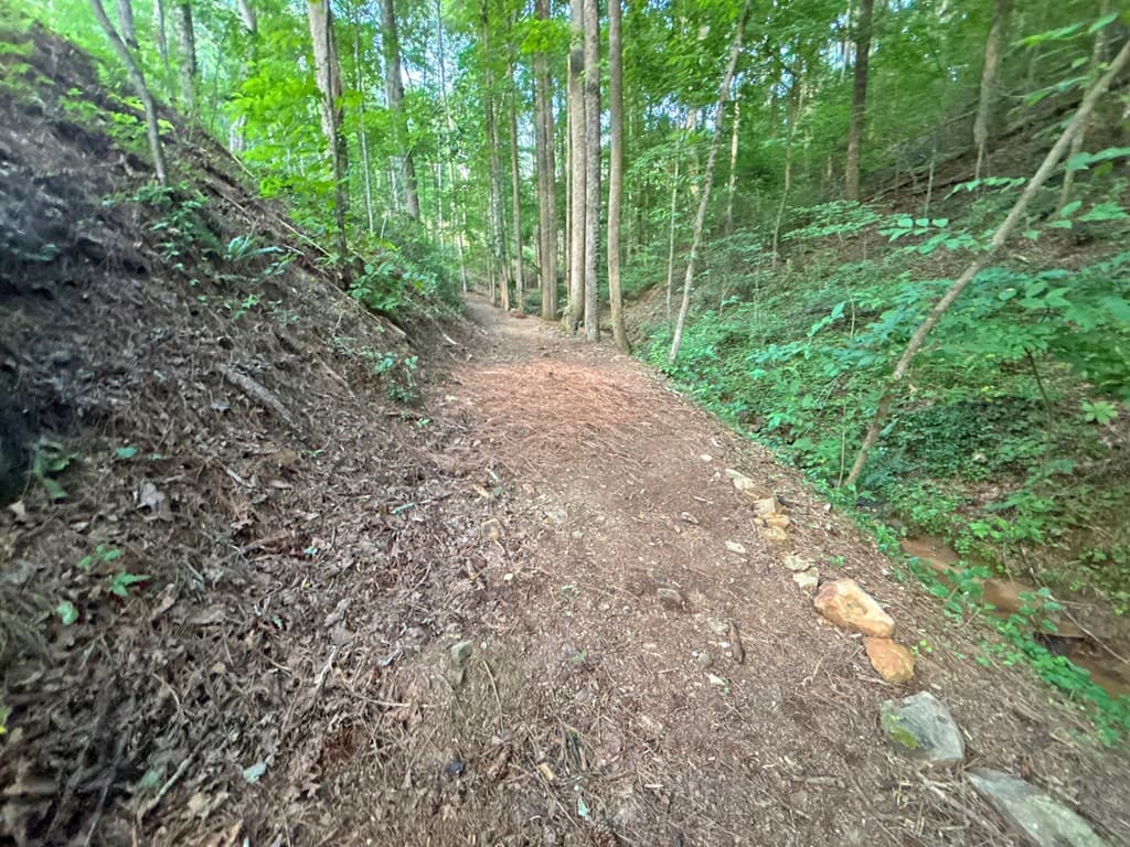 1720 Mt. Springer Road, Ellijay GA 30540 - Photo