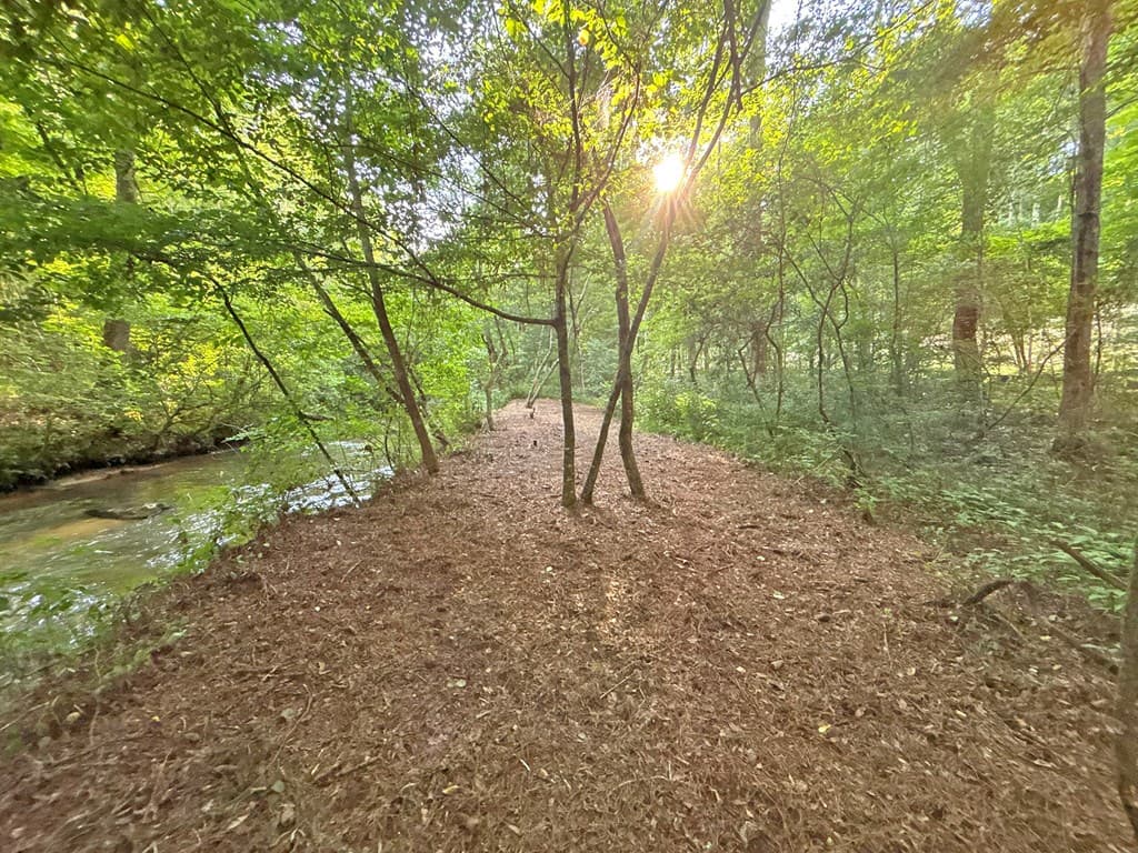 1720 Mt. Springer Road, Ellijay GA 30540 - Photo