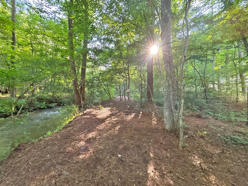 1720 Mt. Springer Road, Ellijay GA 30540 - Photo