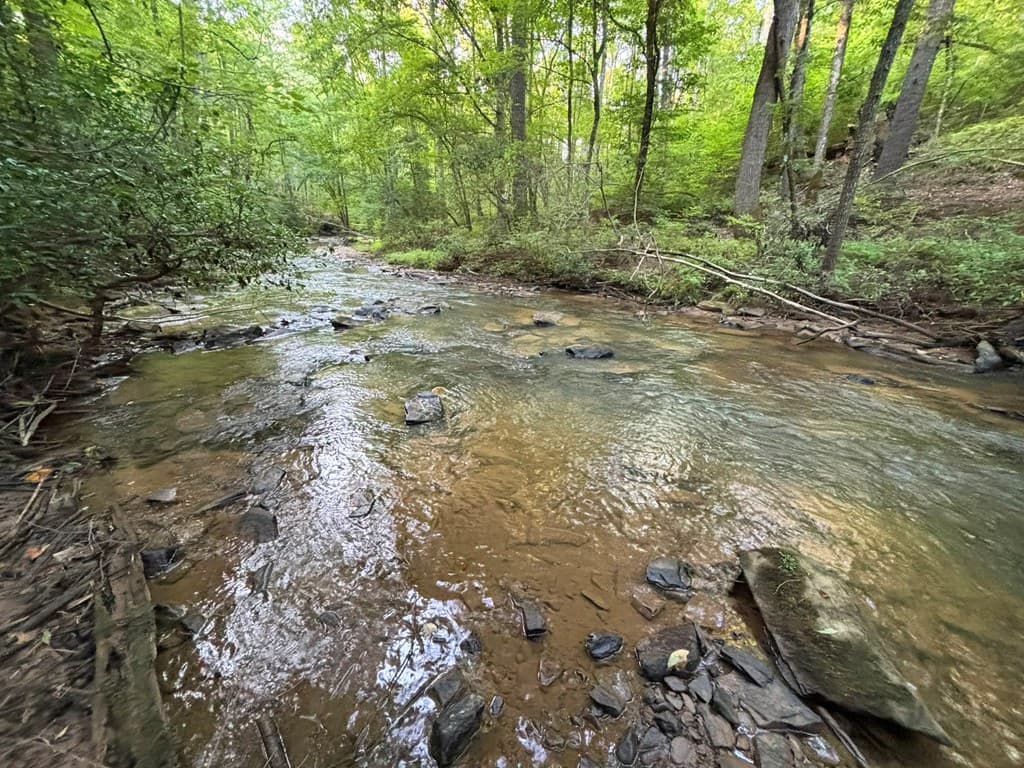 1720 Mt. Springer Road, Ellijay GA 30540 - Photo
