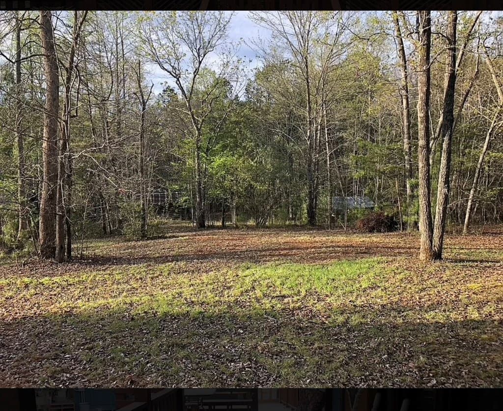 92 Ox Bow Lane, Blairsville GA 30512 - Photo
