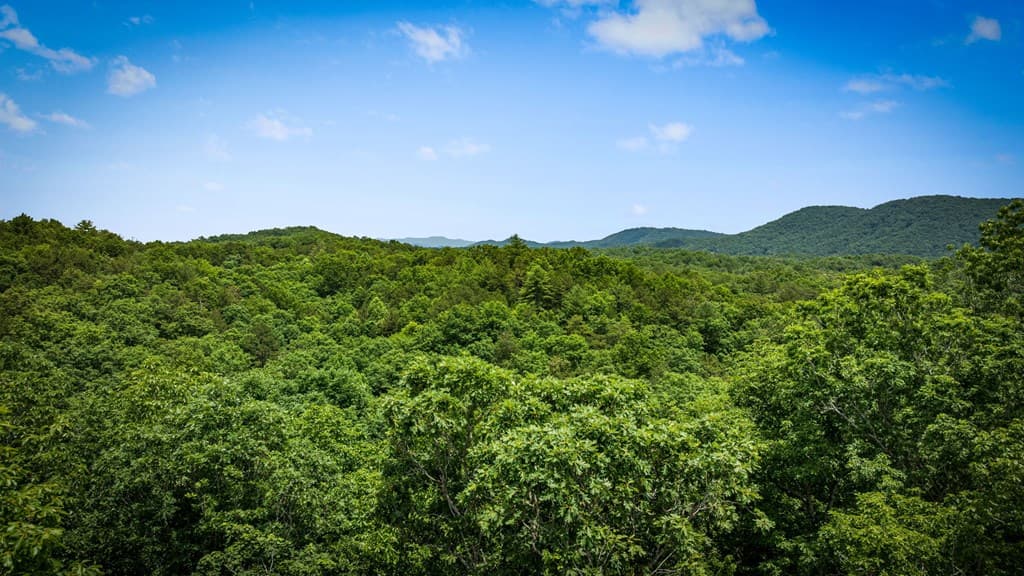 62 Tiffany Lane, Mineral Bluff GA 30559 - Photo