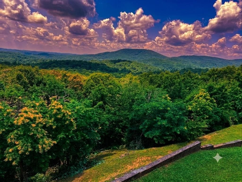 55 Beauregards Knob, Ellijay GA 30536 - Photo