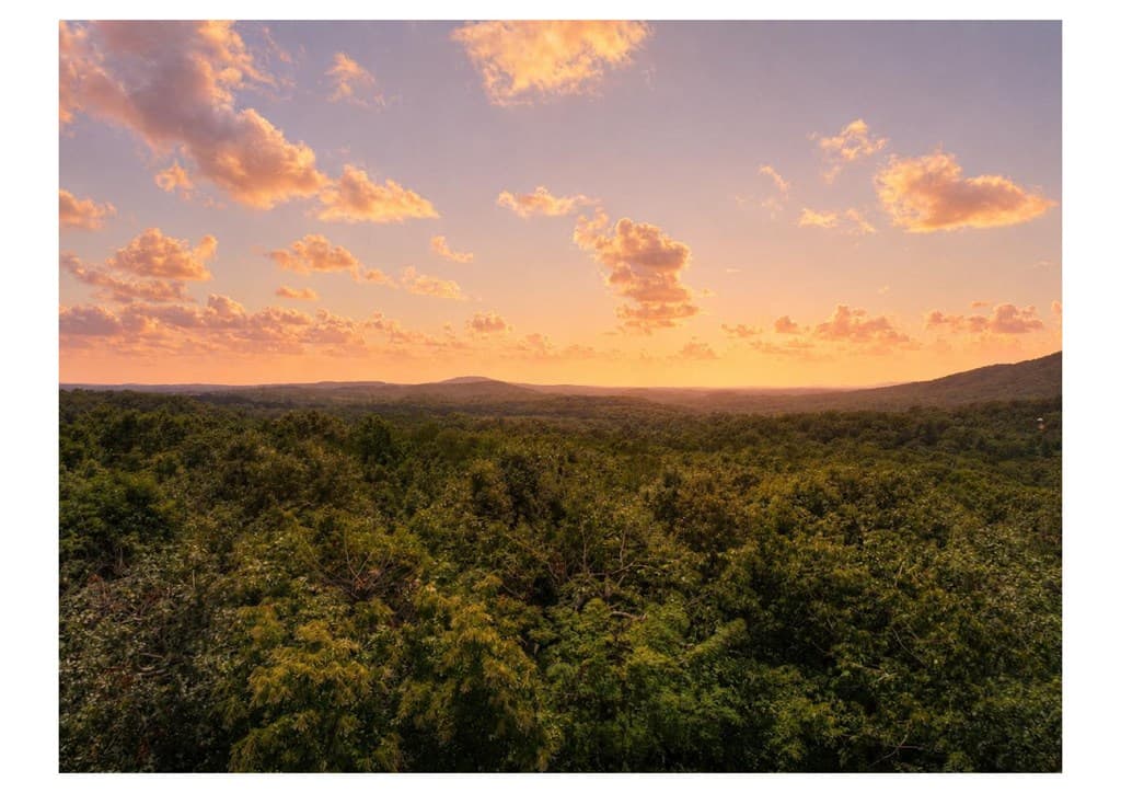 55 Beauregards Knob, Ellijay GA 30536 - Photo