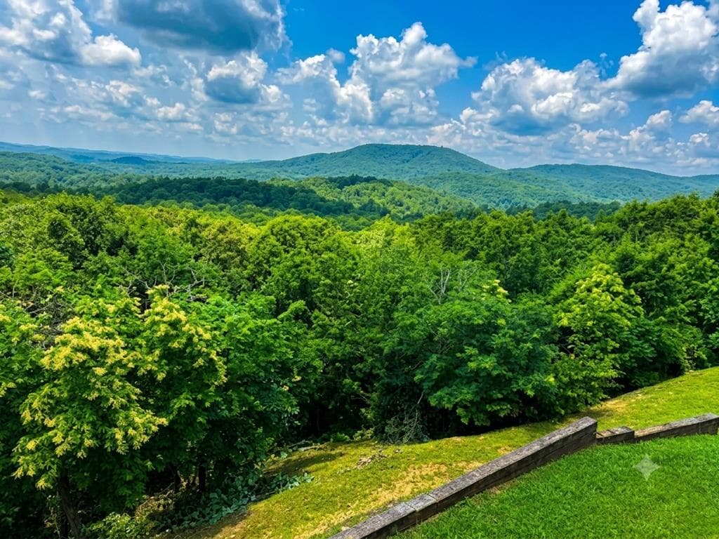 55 Beauregards Knob, Ellijay GA 30536 - Photo