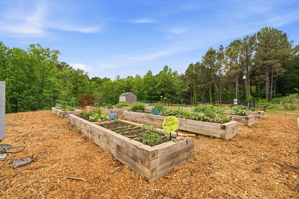 167 Mountain Boulevard, Jasper GA 30145 - Photo