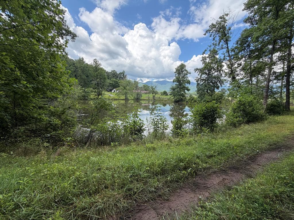 Lot 90 Shiloh Stables, Hayesville NC 28904 - Photo