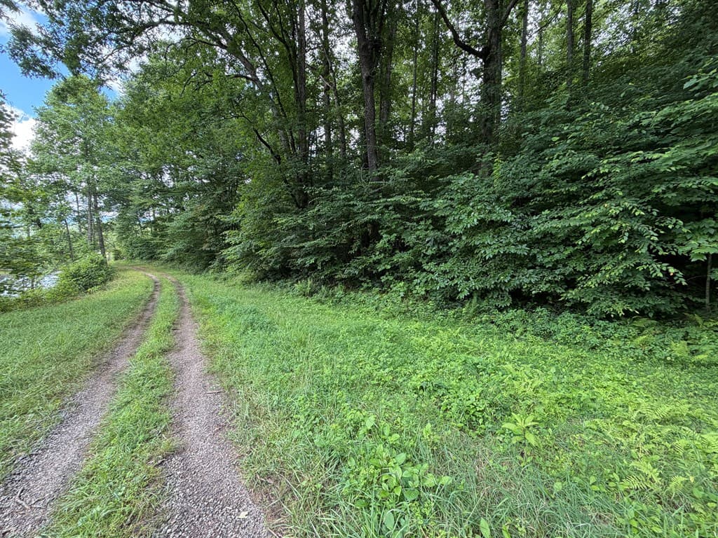 Lot 90 Shiloh Stables, Hayesville NC 28904 - Photo