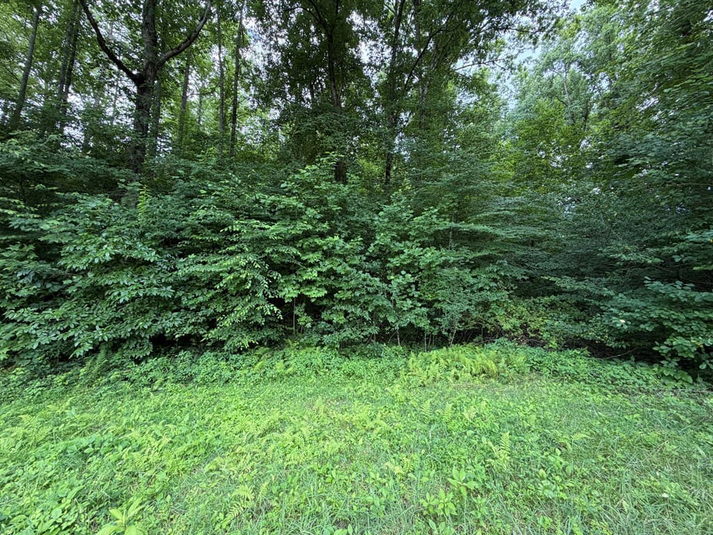 Lot 90 Shiloh Stables, Hayesville NC 28904 - Photo