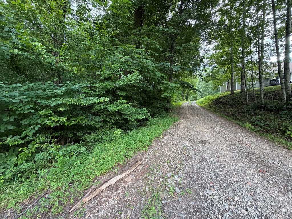 Lot 90 Shiloh Stables, Hayesville NC 28904 - Photo