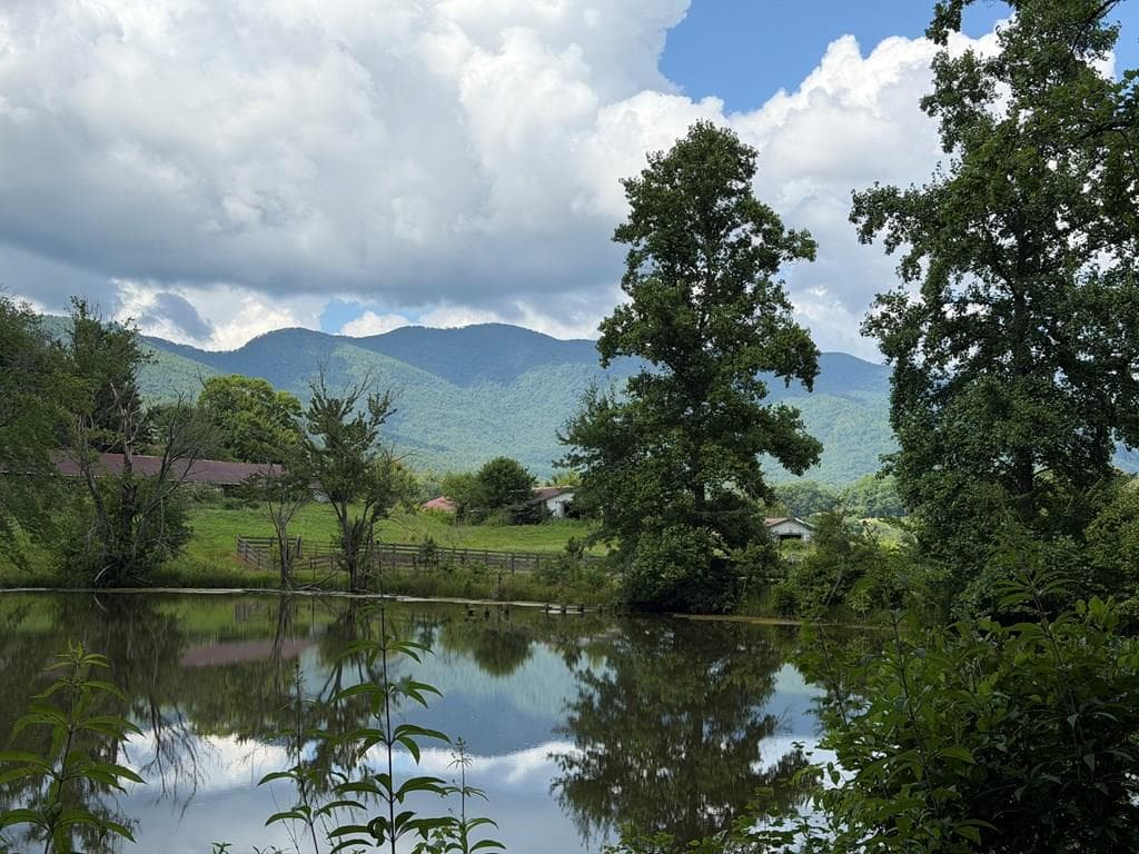 Lot 90 Shiloh Stables, Hayesville NC 28904 - Primary photo
