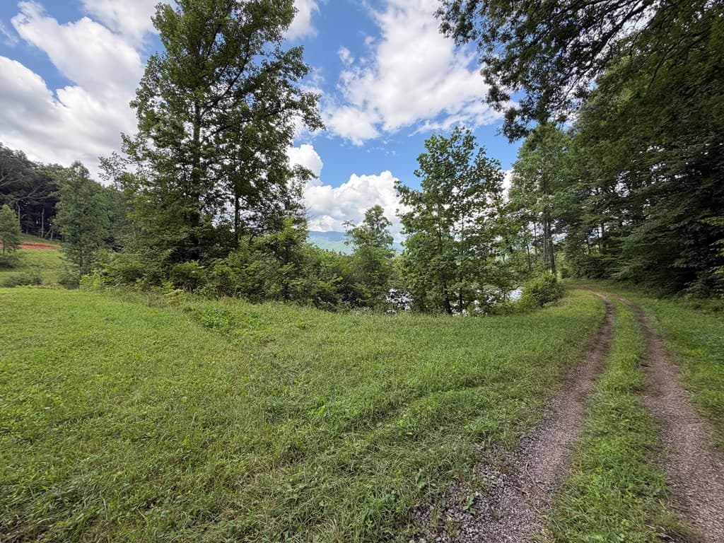Lot 90 Shiloh Stables, Hayesville NC 28904 - Photo