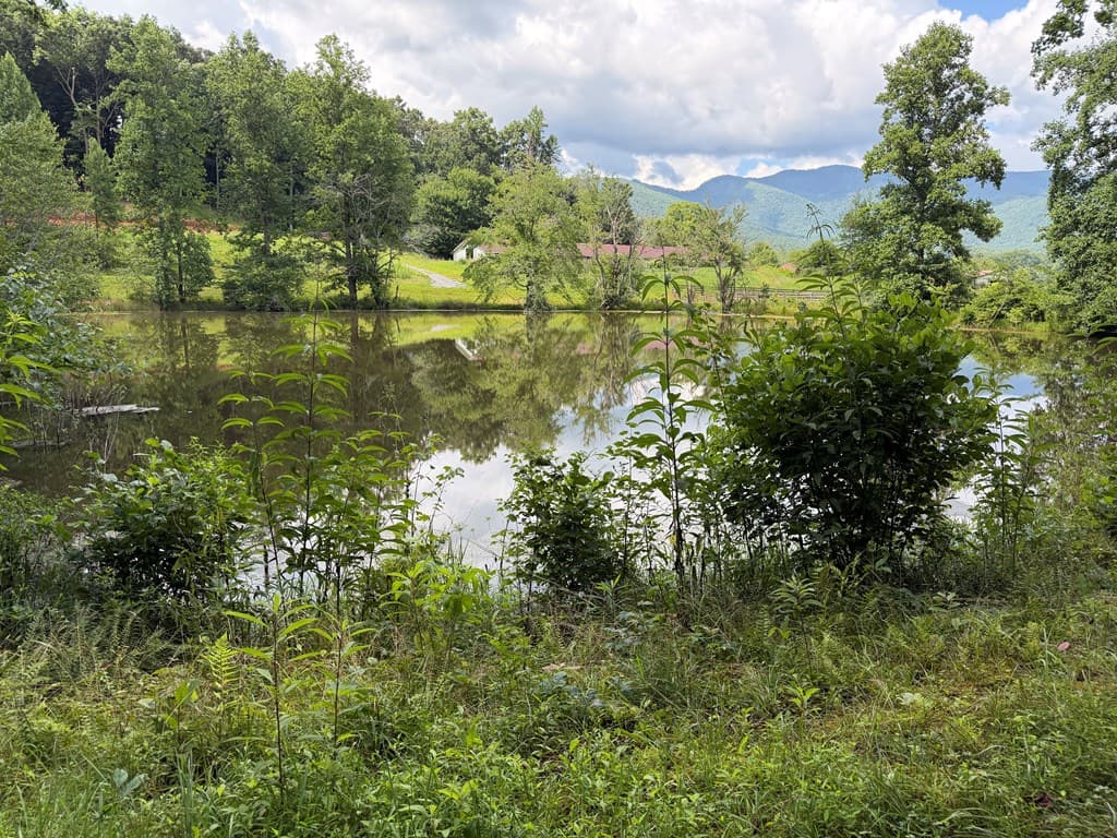 Lot 90 Shiloh Stables, Hayesville NC 28904 - Photo