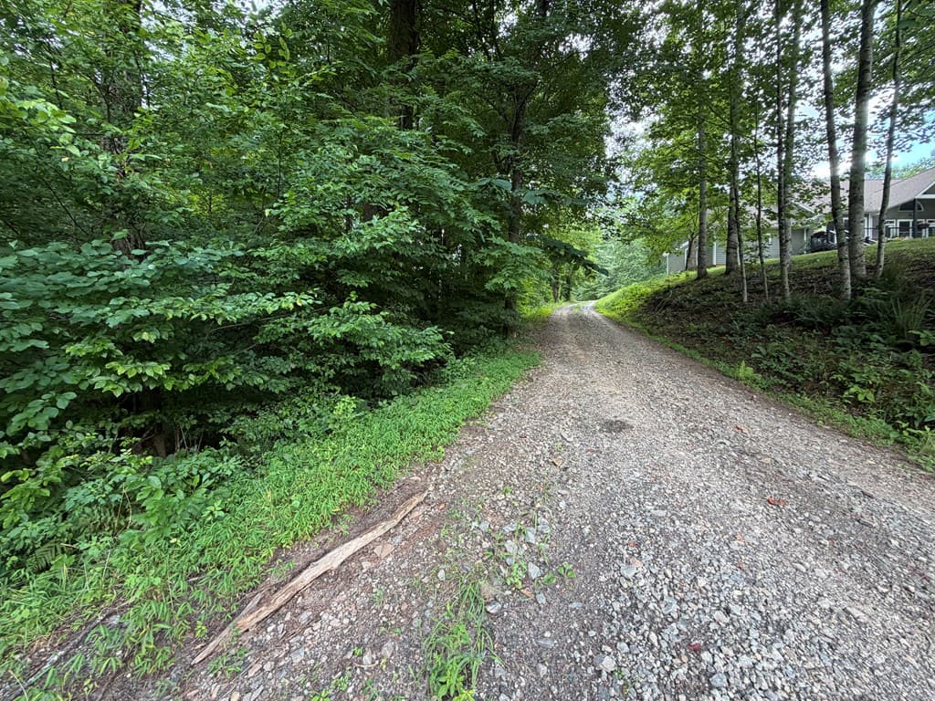 Lot 90 Shiloh Stables, Hayesville NC 28904 - Photo