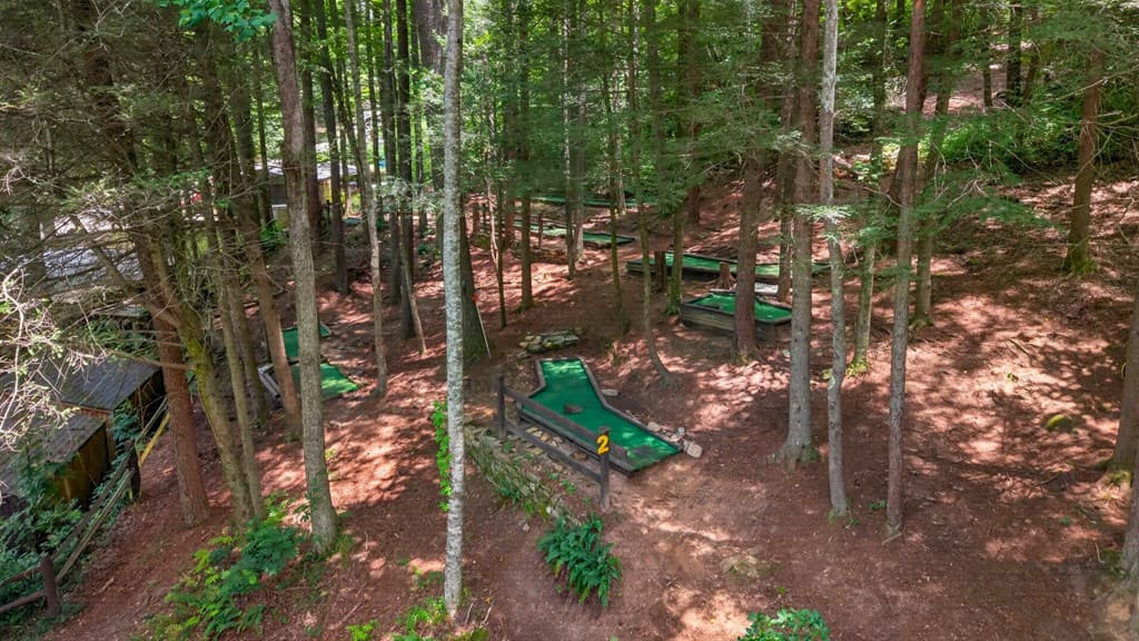 24 Adelaide Drive, Blue Ridge GA 30513 - Photo