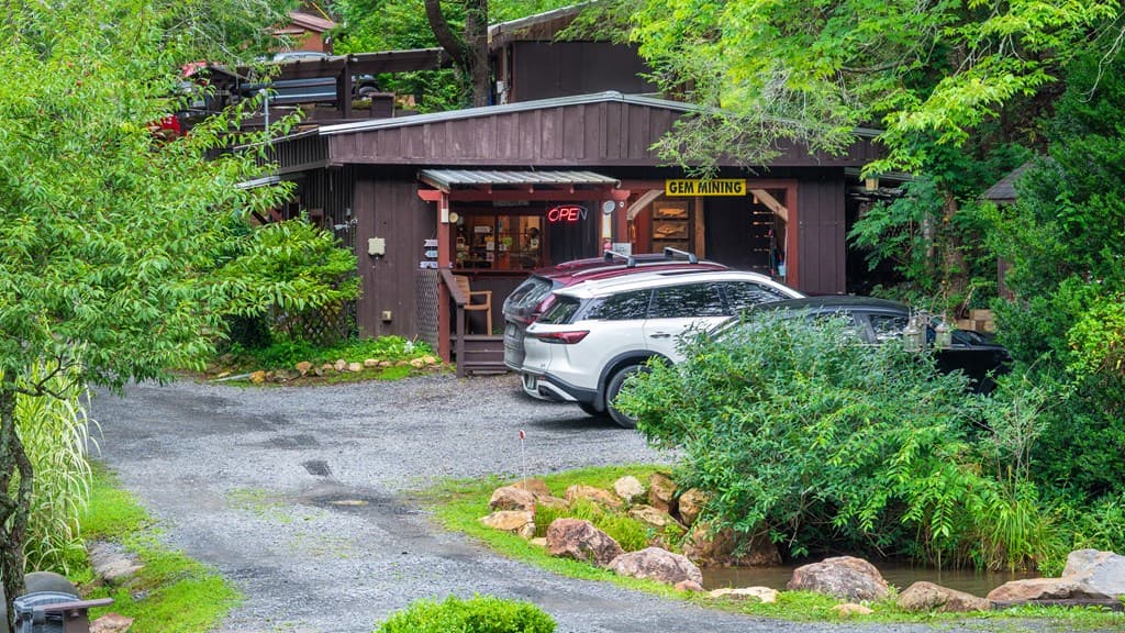 24 Adelaide Drive, Blue Ridge GA 30513 - Photo