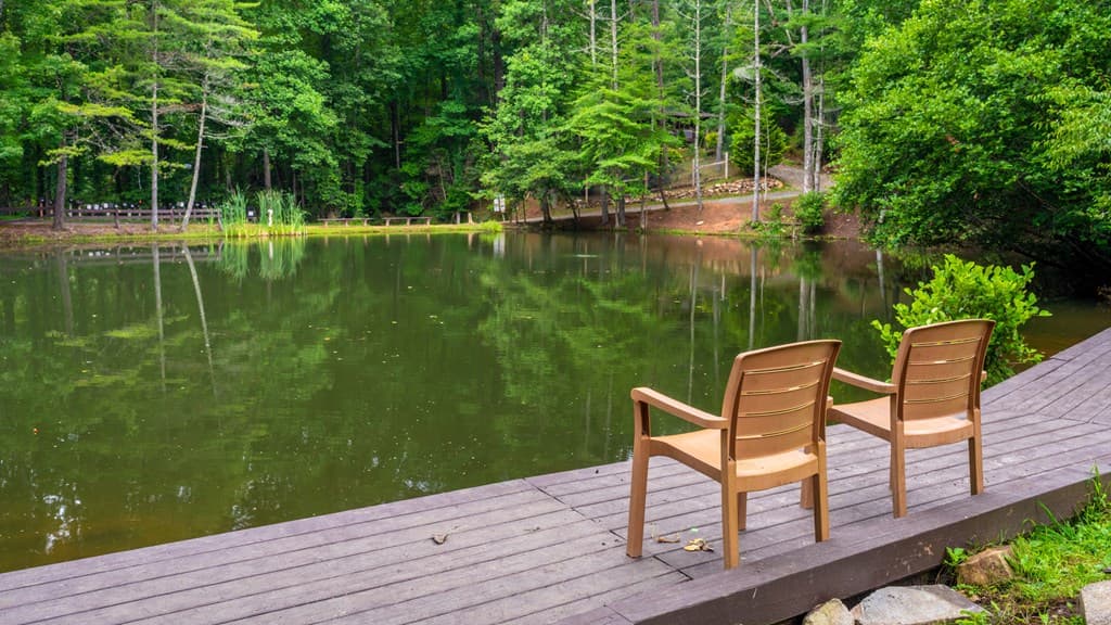 24 Adelaide Drive, Blue Ridge GA 30513 - Photo