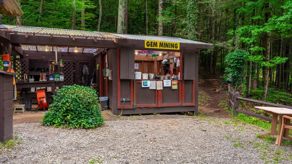 24 Adelaide Drive, Blue Ridge GA 30513 - Photo
