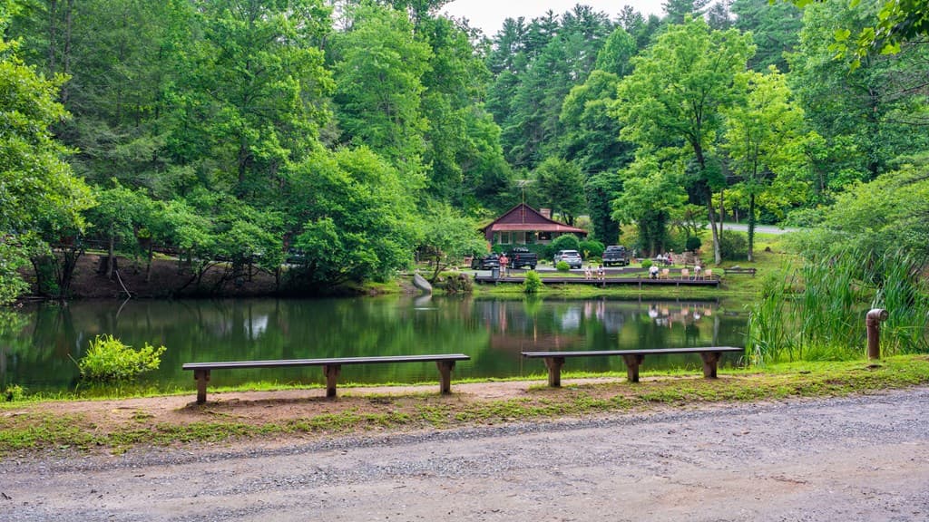 24 Adelaide Drive, Blue Ridge GA 30513 - Photo