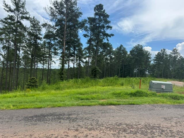 Lot 88 Springfield Parkway, Ellijay GA 30540 - Photo