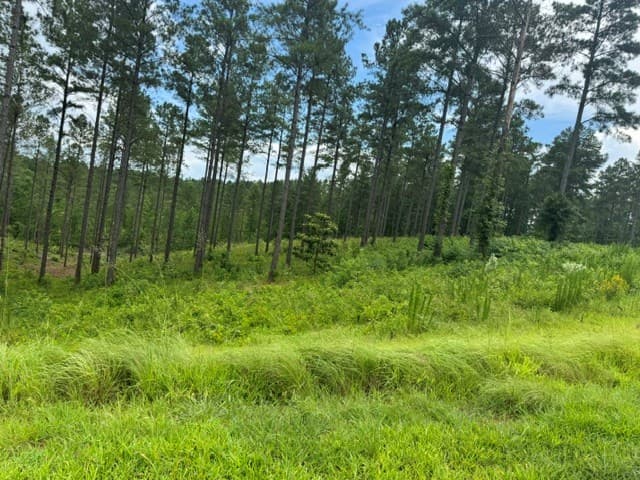 Lot 88 Springfield Parkway, Ellijay GA 30540 - Photo