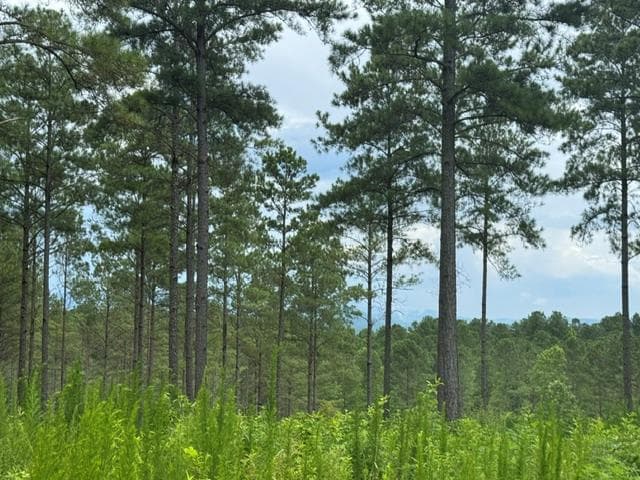 Lot 88 Springfield Parkway, Ellijay GA 30540 - Primary photo