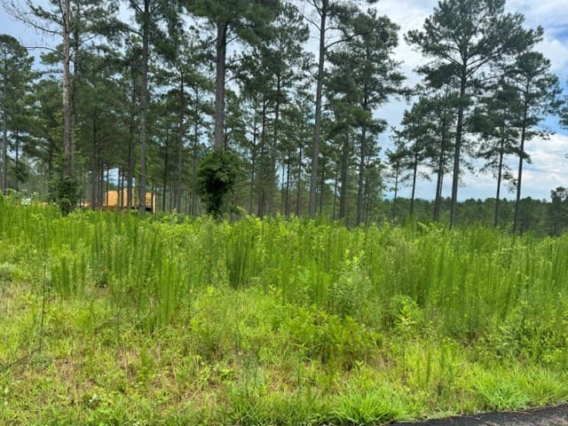 Lot 88 Springfield Parkway, Ellijay GA 30540 - Photo
