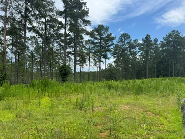 Lot 88 Springfield Parkway, Ellijay GA 30540 - Photo