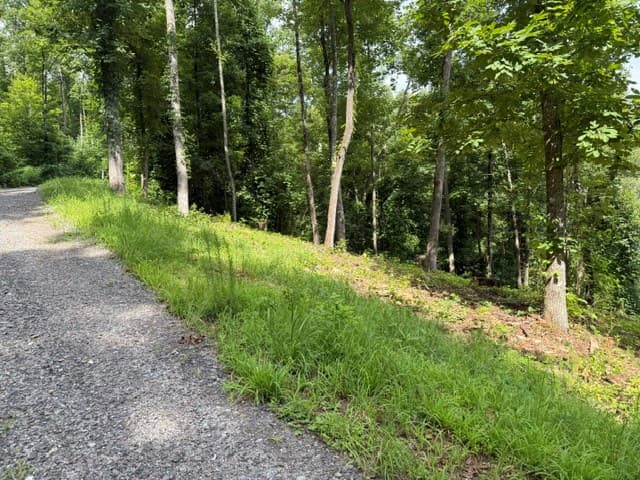 Lot 25 Bryson Creek, Murphy NC 28906 - Photo