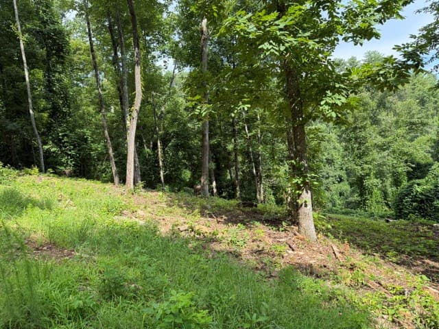 Lot 25 Bryson Creek, Murphy NC 28906 - Photo