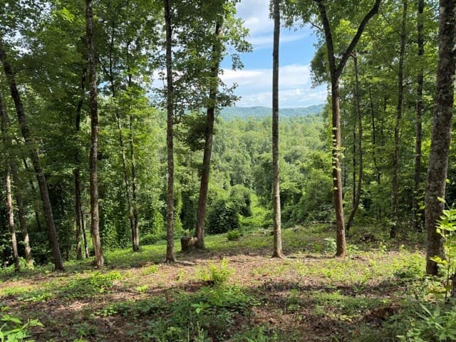 Lot 25 Bryson Creek, Murphy NC 28906 - Photo
