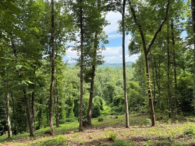 Lot 25 Bryson Creek, Murphy NC 28906 - Primary photo