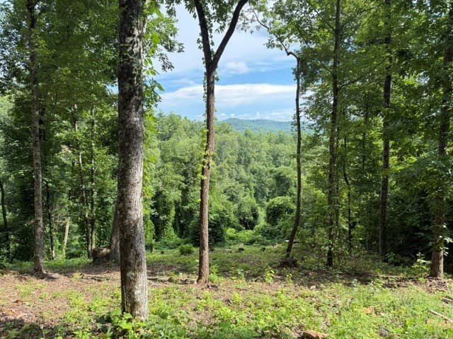 Lot 25 Bryson Creek, Murphy NC 28906 - Photo