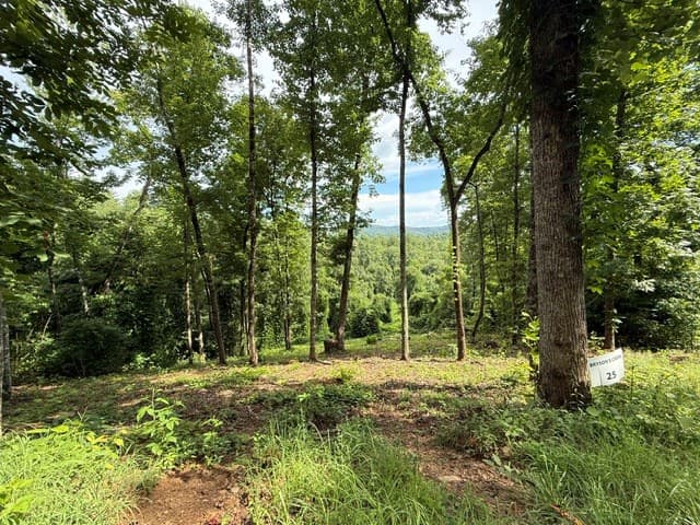 Lot 25 Bryson Creek, Murphy NC 28906 - Photo