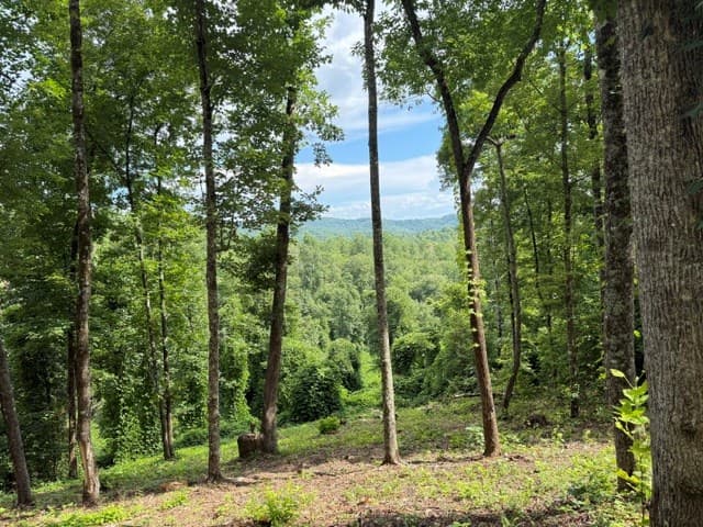 Lot 25 Bryson Creek, Murphy NC 28906 - Photo