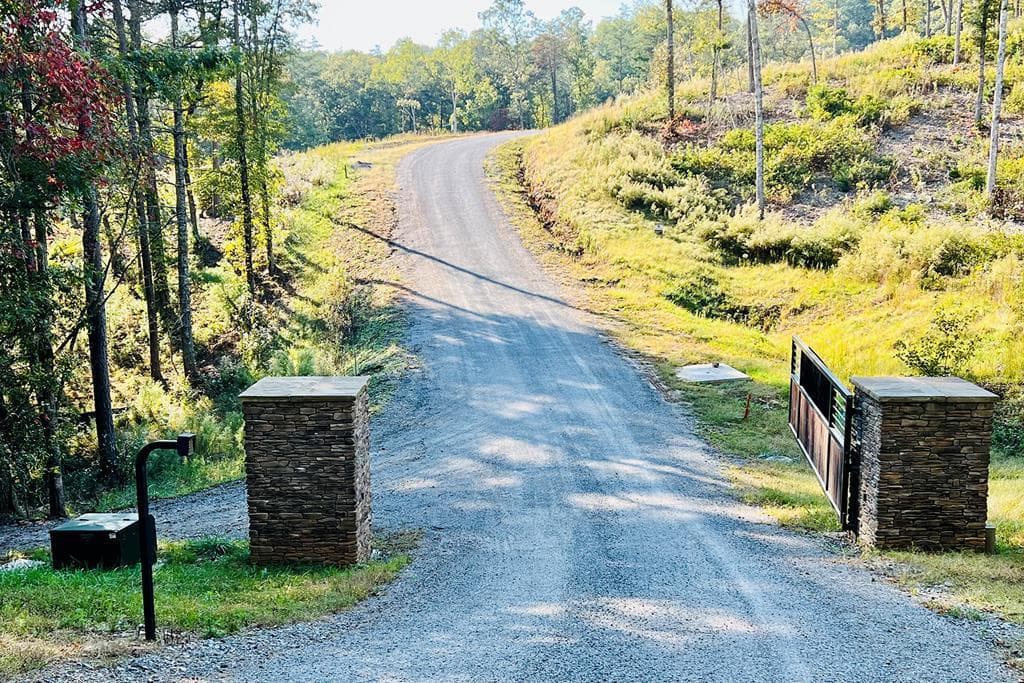 Lot 17 Mountain Laurel Ridge, Mineral Bluff GA 30559 - Photo